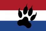 Dutch prepare for wolf comeback 